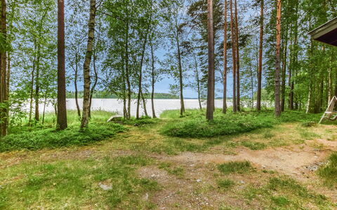 Mäntyranta: Legna, Villetta, Log Cabin, Foresta, Capannone, Edifici Giardino, Larice, Woodland, Color Legno