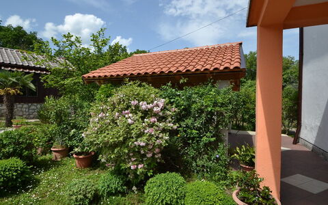 Franjo: Proprietà, Immobiliare, Giardino, Casa, Cortile, Botanica, Tetto, Pianta, Backyard, Costruzione