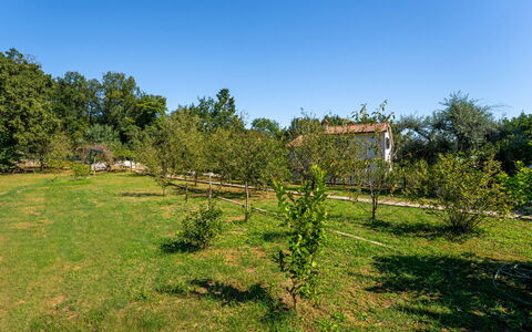 Opatija Ika 106: Albero, Ambiente Naturale, Vegetazione, Arbusto, Plain, Pascolo, Area Rurale, Lotto, Giardino