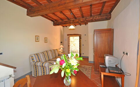 Alloggio:&nbsp;Civetta 7