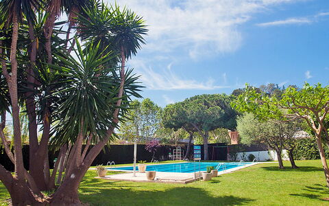 Edificio Blanqueries: Nube, Cielo, Acqua, Pianta, Proprietà, Albero, Azzurro, Piscina, Corpo D'Acqua, Shade