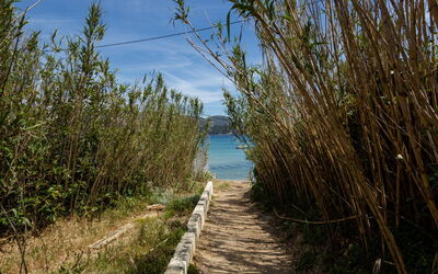 Le Lavandou 135