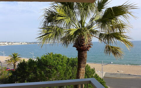 Fréjus 110: Albero, Palma, Arecales, Proprietà, Woody Impianto, Pianta, Vacanza, Dattero, Casa, Mare