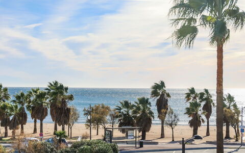 Cap Hermes: Albero, Palma, Arecales, Woody Impianto, Cielo, Pianta, Mare, Vacanza, Spiaggia, Riva