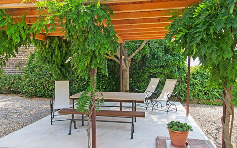 Cinigiano 100: Proprietà, Backyard, Mobilia, Cortile, Giardino, Terrazza, Botanica, Pianta, Albero, Cortile