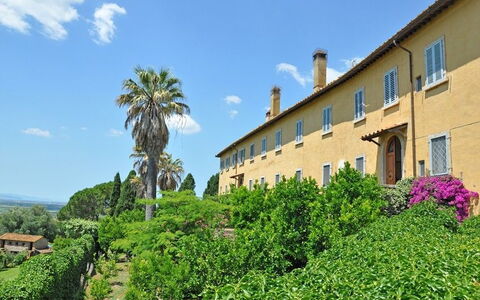 Il Principe: Proprietà, Vegetazione, Casa, Costruzione, Immobiliare, Estate, Albero, Botanica, Palma, Area Rurale