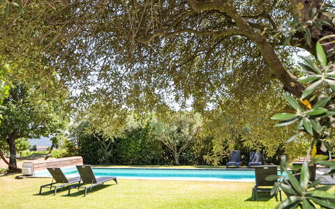 L'Oustaou dei Figo: Pianta, Acqua, Shade, Paesaggio Naturale, Mobili Da Esterno, Vegetazione, Albero, Luce Del Sole, Erba, Tempo Libero