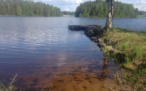 Mykkälä: Legna, Villetta, Color Legno, Latifoglie, Log Cabin, Plank, Soffitto, Materiali Naturali, Legname, Edifici Giardino