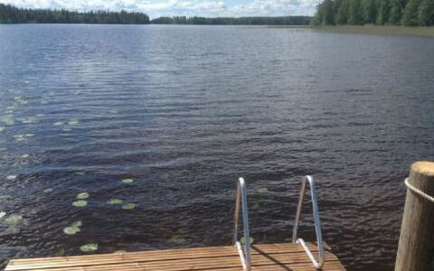 Jokela: Albero, Banca, Casa, Villetta, Lago, Stagno, Foresta, Log Cabin