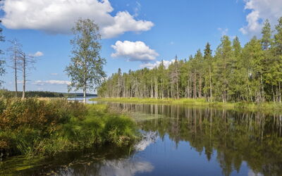Kinttaanpirtti