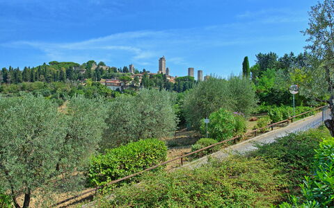 Poggiluglio: Vegetazione, Albero, Biome, Natura Selvaggia, Cielo, Zona Urbana, Botanica, Pianta, Collina, Giardino