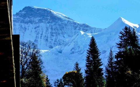 Wengen 11: Cielo, Montagna, Neve, Ecoregione, Mondo, Paesaggio Naturale, Albero, Azzurro, Highland, Larice