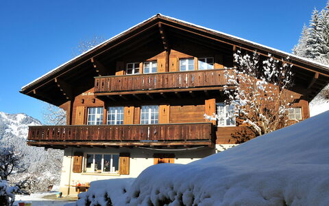 Drei Tannen: Cielo, Costruzione, Neve, Pianta, Finestra, Casa, Legna, Albero, Pendenza, Larice