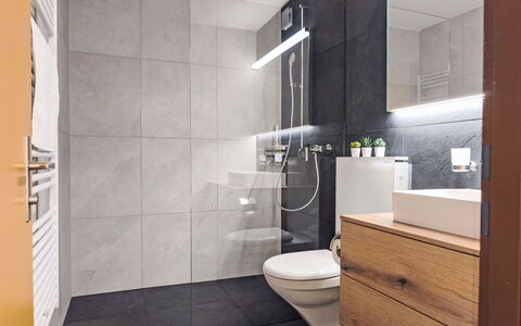 Wengen 19: Pavimentazione, Pavimento, Interior Design, Idraulico Fixture, Bagno, Mobiletto Del Bagno, Gabinetto, Lavello, Rubinetto, Idraulico