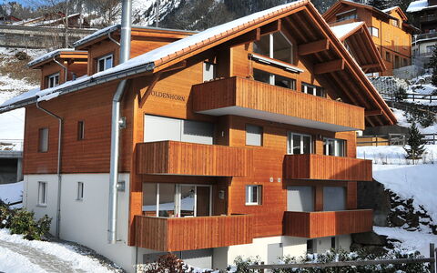 Wengen 22: Neve, Costruzione, Finestra, Pianta, Legna, Casa, Albero, Pendenza, Biome, Villetta
