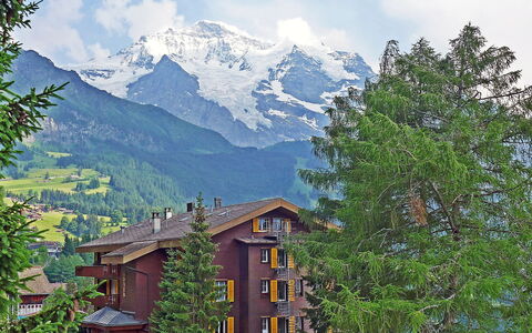 Wengen 24: Montagna, Geografia Montane, Paesaggio Naturale, Natura, Paesino Di Montagna, Proprietà, Hill Station, Cielo, Catena Montuosa, Albero