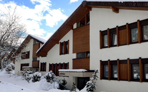 Primula Apt. B: Neve, Proprietà, Casa, Casa, Inverno, Costruzione, Zona Residenziale, Immobiliare, Architettura, Quartiere