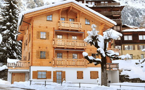 Alpina Apt. Ch: Neve, Costruzione, Proprietà, Finestra, Mondo, Pendenza, Casa, Legna, Albero, Zona Residenziale