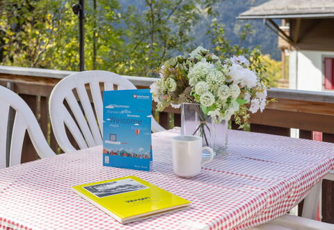 Schweizerhof Apt. S: Tavolo, Mobilia, Proprietà, Tavola, Pianta, Fiore, Sedia, Tovaglia, Verde, Azzurro