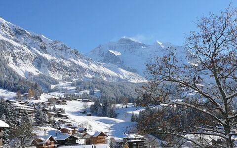 Wengen 602: Cielo, Montagna, Neve, Pendenza, Paesaggio Naturale, Albero, Congelamento, Geografia Montane, Paesaggio, Catena Montuosa