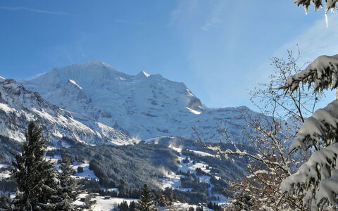 Wengen 602: Cielo, Neve, Montagna, Nube, Pendenza, Paesaggio Naturale, Pianta, Terreno, Albero, Congelamento