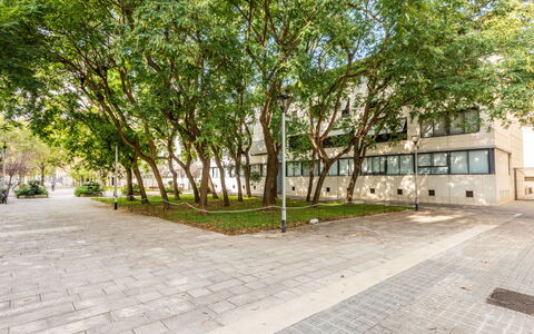 Vila Olimpica Pamplona: Albero, Ramo, Spazio Pubblico, Shade, Woody Impianto, Marciapiede, Passerella