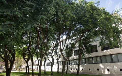Vila Olimpica Pamplona: Albero, Woody Impianto, Proprietà, Pianta, Architettura, Casa, Costruzione, Facciata, Urban Design, Città