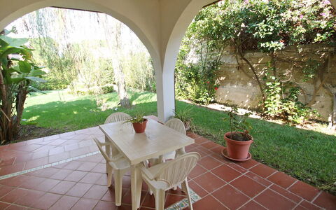 Orchidea: Proprietà, Costruzione, Camera, Casa, Immobiliare, Tavolo, Architettura, Arco, Villa, Albero
