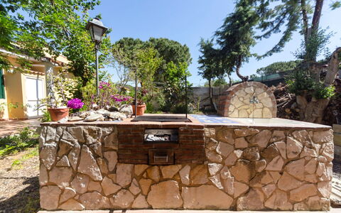 Orchidea: Nube, Cielo, Costruzione, Tavola, Azzurro, Pianta, Sedia, Tavolo, Condominio, Portico