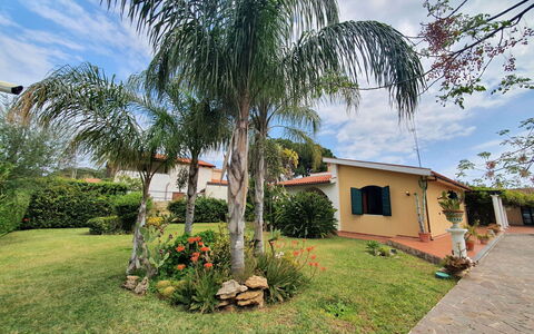 Orchidea: Woody Impianto, Giardino, Shade, Hacienda, Landscaping, Cortile, Piantagione, Backyard