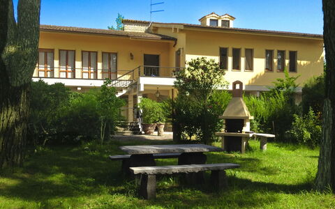 Villa Quattro Mori: Giardino, Prato, Landscaping, Shade, Mobili Da Esterno, Parco, Hacienda, Estate, Cortile, Eco Hotel