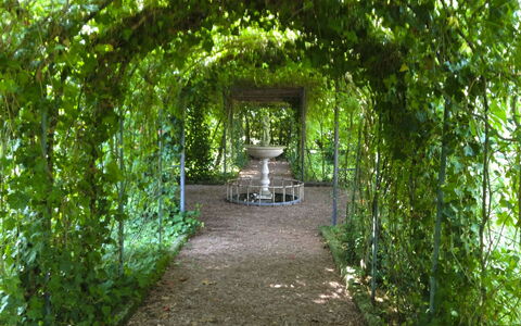 Villa Quattro Mori: Giardino, Prato, Landscaping, Shade, Mobili Da Esterno, Parco, Hacienda, Estate, Cortile, Eco Hotel