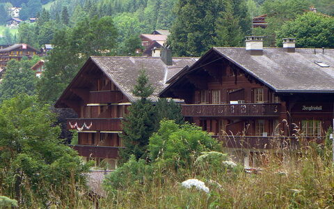 Bergkristall Apt. P: Casa, Casa, Proprietà, Tetto, Paesino Di Montagna, Area Rurale, Capanna, Albero, Villetta, Costruzione