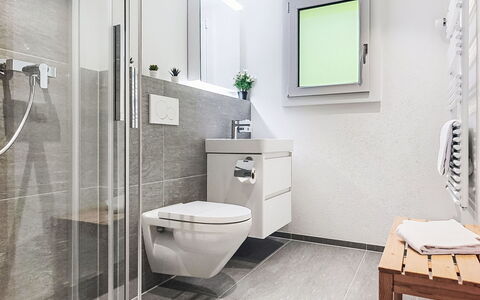 Bergkristall Apt. P: Interior Design, Bagno, Pavimentazione, Idraulico Fixture, Gabinetto, Pavimento, Lavello, Toilet Seat, Idraulico, Rubinetto