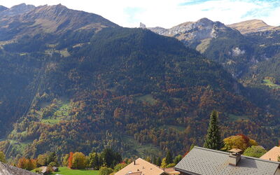 Bergkristall Apt. P