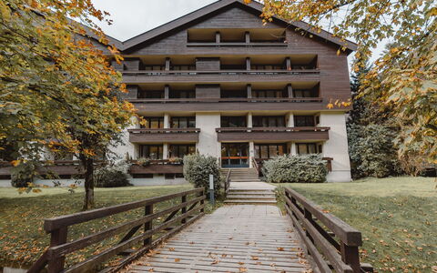 Bad Hofgastein 270: Pianta, Giorno, Proprietà, Costruzione, Foglia, Cielo, Albero, Le Scale, Legna, Zona Residenziale