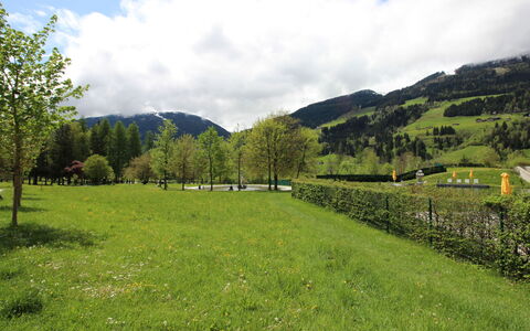 Walter: Geografia Montane, Verde, Montagna, Albero, Erba, Ambiente Naturale, Natura, Collina, Pascolo, Paesaggio Naturale