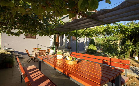 Olivia: Tavolo, Cielo, Proprietà, Mobilia, Pianta, Sedia, Azzurro, Shade, Interior Design, Architettura