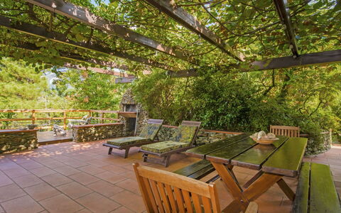 Villa Poggiobello: Proprietà, Immobiliare, Albero, Botanica, Costruzione, Foglia, Camera, Mobilia, Estate, Pianta