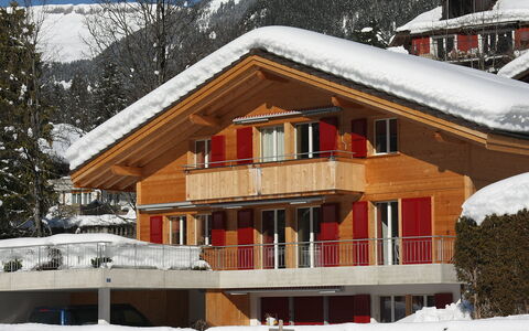 Chalet Almisgässli: Neve, Costruzione, Finestra, Cielo, Albero, Montagna, Casa, Legna, Pendenza, Villetta