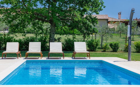 Blog 1: Acqua, Pianta, Proprietà, Piscina, Verde, Natura, Azzurro, Rettangolo, Cielo, Shade