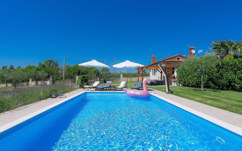 Blog 2: Acqua, Pianta, Cielo, Piscina, Proprietà, Costruzione, Natura, Azzurro, Blu, Shade