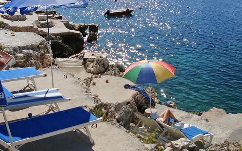 Carmen: Ombrello, Vacanza, Spiaggia, Turismo, Mare, Costa, Acqua, Estate, Albero