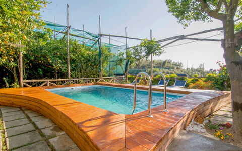 Emi: Acqua, Pianta, Cielo, Piscina, Albero, Shade, Costruzione, Botanica, Mobili Da Esterno, Corpo D'Acqua