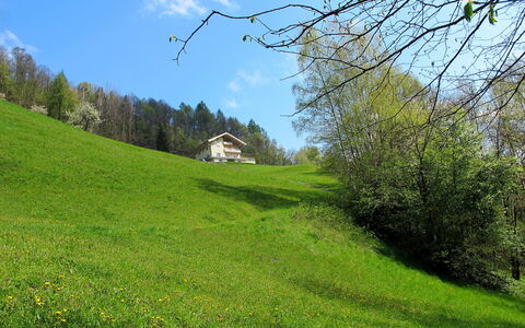 Goldegg 300: Cielo, Pianta, Nube, Paesaggio Naturale, Pendenza, Vegetazione, Luce Del Sole, Albero, Lotto