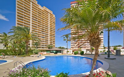 Alloggio:&nbsp;Coral Beach 958.6