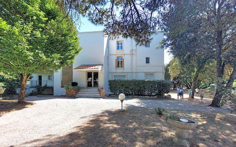 Le Platin: Albero, Ramo, Casa, Estate, Giardino, Cortile, Landscaping, Driveway, Villa, Dimora