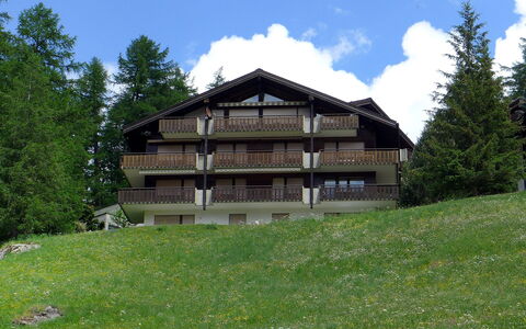 Sonnhalde B: Proprietà, Casa, Costruzione, Casa, Villetta, Log Cabin, Montagna, Immobiliare, Lotto, Albero