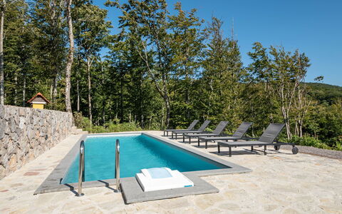 Vršak: Proprietà, Acqua, Cielo, Piscina, Azzurro, Shade, Pianta, Mobili Da Esterno, Albero, Lettino