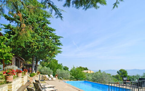 Agriturismo la Casetta di Chiara: Pianta, Cielo, Acqua, Proprietà, Nube, Piscina, Albero, Mobili Da Esterno, Shade, Corpo D'Acqua